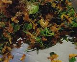 A picture of step 2 of Carrot fenugreek paratha.
