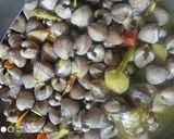 Foto langkah ke 2 dari resep Kerang dara sederhana.