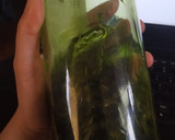 Foto del paso 2 de la receta: Licor de menta