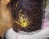 Foto langkah ke 6 dari resep Cookies Chocolate Choco Chips Cheese.