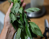 Foto del paso 1 de la receta: Árbol navideño de espaguetis al pesto🎄