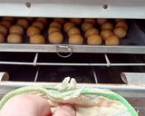 Foto langkah ke 3 dari resep Nastar klasik.