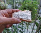 Hình bước làm 4 của món Làm CREAM CHEESE (Phô mai tươi)