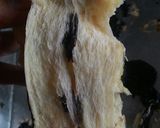 Foto langkah ke 10 dari resep ROTI MANIS Lembut banget (water roux metode).