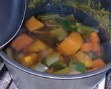 Foto del paso 1 de la receta: Sopa de Verduras con toda la Furia