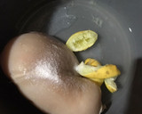 Foto langkah ke 1 dari resep Semur Ayam Fillet.