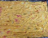 Foto del paso 4 de la receta Pastel de verduras 🤩