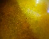 A picture of step 3 of Green Gram (Moong Dal) & Asafoetida (Daliya).