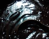 Foto langkah ke 4 dari resep Brownies siram ganache coklat.