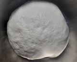 Foto langkah ke 3 dari resep 1100. Bakpao Ayam Kecap Metode No Mixer.