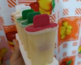 Foto del paso 3 de la receta: Helado de Mango y Ananá