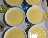 A picture of step 6 of Mango Yogurt.