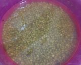 Foto langkah ke 1 dari resep Es Lilin Kacang Ijo.