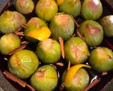 Foto del passaggio 2 della ricetta Fichi caramellati al vino rosso