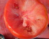 Foto del paso 3 de la receta: Tomates asados al horno, rellenos de pulpos en salsa de ostras