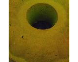 Foto langkah ke 5 dari resep Kue Bolu Pandan Jadul.