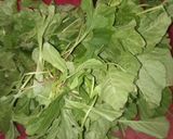 அரைக்கீரை கூட்டு (Araikeerai kootu recipe in tamil) ரெசிபி ஸ்டேப் 1 புகைப்படம்