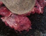 Foto langkah ke 2 dari resep 55.Krengsengan Daging sapi sederhana.