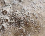 A picture of step 7 of Gobhi paratha with mitha Dahi.