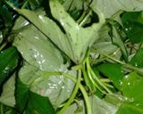 Foto langkah ke 1 dari resep Sayur bening.