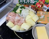 咖喱薯仔雞柳的食譜步驟1照片