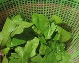 Foto langkah ke 1 dari resep Oseng tempe, teri medan, daun melinjo.