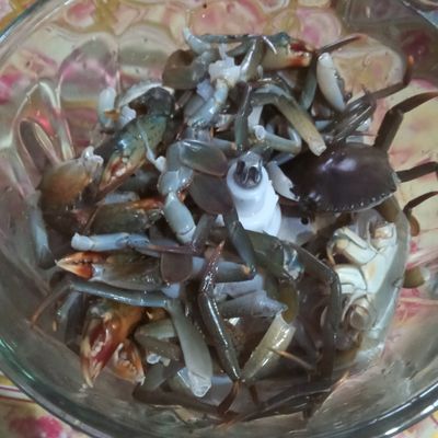 Langkah 1