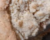 Foto del paso 21 de la receta: Apfel Streusel Kuchen (Pie de Manzana Alemán) 🇦🇷🇩🇪