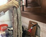 Foto del paso 1 de la receta: Pulpo Enamorado Sonorense