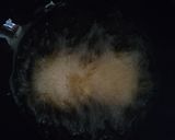 A picture of step 19 of Aloo(potatoe)Puri.