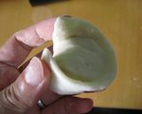 A picture of step 11 of Everyone's Favorite Homemade Juicy Shrimp Dumplings.