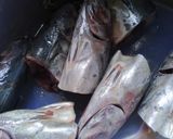 Foto langkah ke 1 dari resep Tumis Tongkol Asam Sunti.