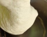 Foto langkah ke 1 dari resep Japanese Milk Bread.