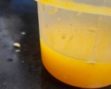 A picture of step 1 of OrNate (orange + pomegranate).