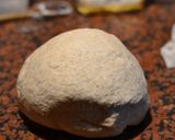 Foto del paso 1 de la receta: Figaza Árabe integral