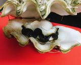 Hình bước làm 2 của món Gỏi Ốc