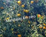 Foto del passaggio 1 della ricetta Insalata di mandarini e mozzarella e scorzette di mandarini km zero candite Siciliana 👩🍳🏡🌍🇮🇹❤️🦁