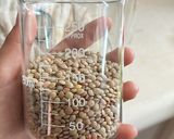 Foto del paso 5 de la receta: Germinados 🌱 lentejas orgánicos