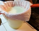Foto del paso 4 de la receta: Queso blanco casero (descremado)