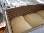 Sourdough Brioche langkah memasak 4 foto