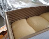Foto langkah ke 4 dari resep Sourdough Brioche.