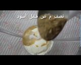 صورة لخطوة 4 من وصفة فته بالزهرة
