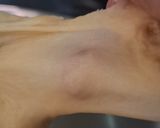 Foto langkah ke 3 dari resep Donut Kentang.