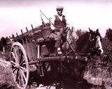 Φωτογραφία βήματος 19 της συνταγής Καροτσέρη, καροτσέρη, άσε το spaghetto από το χέρι