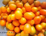 A picture of step 2 of Traditional Candied Kumquats.