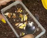 A picture of step 5 of Instant 2in 1 burfi# RSC.