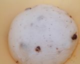 Foto del paso 4 de la receta: Bollos con higos en conserva