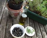 Foto del paso 1 de la receta: Aceitunas negras con hierbas de huerto