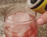 Foto del paso 3 de la receta: Aperitivo Martini Fiero