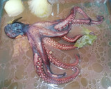 Foto del paso 8 de la receta: Pulpo